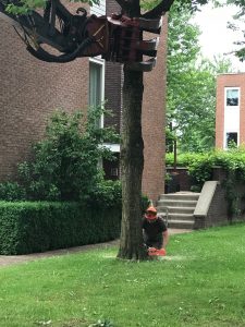 Afzagen boom op 5 juni 2018 - rotated